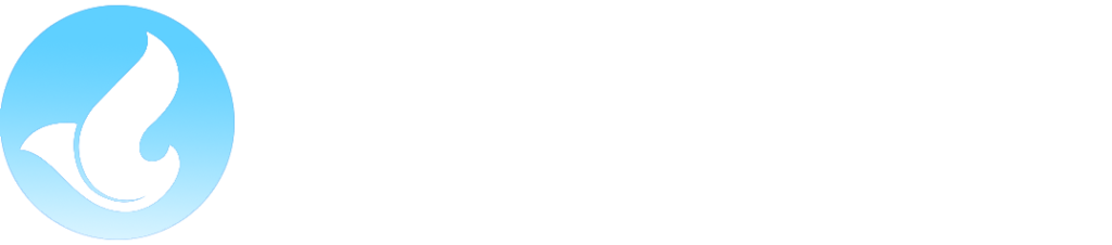 Thiết kế website chuyên nghiệp và uy tín tại Ninh Bình